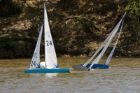 DSC04569 © Peter Taylor 2012