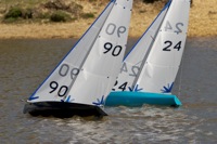 DSC04595 © Peter Taylor 2012
