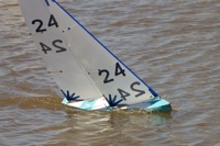DSC04267 © Peter Taylor 2012