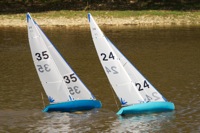 DSC04292 © Peter Taylor 2012