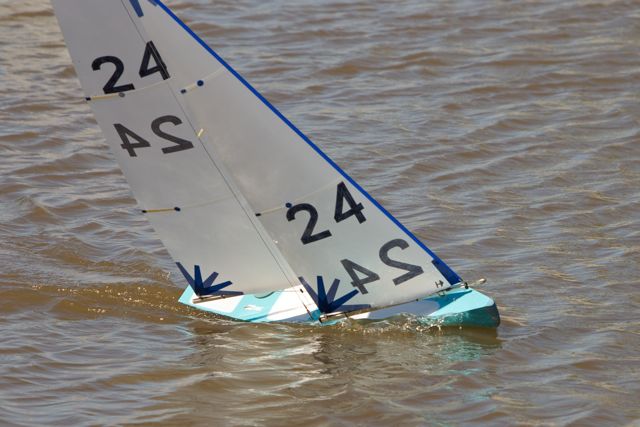 DSC04267 © Peter Taylor 2012