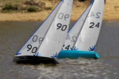 DSC04595 © Peter Taylor 2012