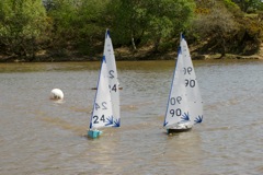 DSC00149 © Peter Taylor 2012