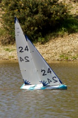 DSC04311 © Peter Taylor 2012