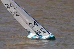 DSC04455 © Peter Taylor 2012
