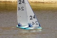 DSC04461 © Peter Taylor 2012
