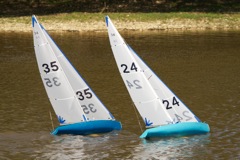 DSC04292 © Peter Taylor 2012