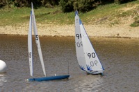 DSC04436 © Peter Taylor 2012