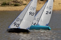 DSC04595 © Peter Taylor 2012
