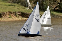 DSC04527 © Peter Taylor 2012