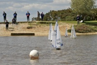 DSC00224 © Peter Taylor 2012