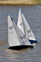 DSC04390 © Peter Taylor 2012