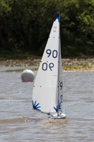 DSC04485 © Peter Taylor 2012
