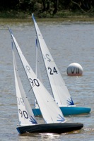DSC00136 © Peter Taylor 2012