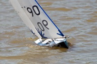DSC04459 © Peter Taylor 2012