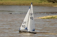 DSC04261 © Peter Taylor 2012
