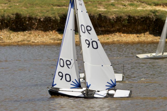 DSC04473 © Peter Taylor 2012