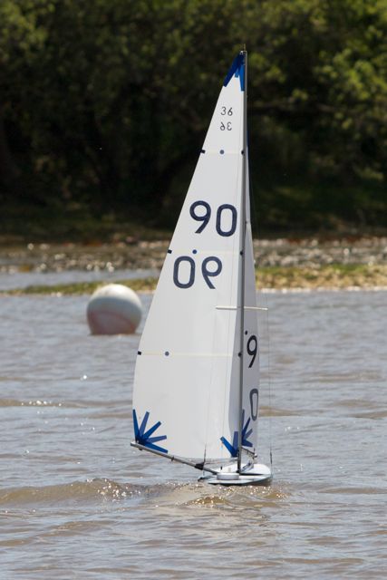 DSC04485 © Peter Taylor 2012