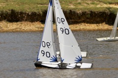 DSC04473 © Peter Taylor 2012