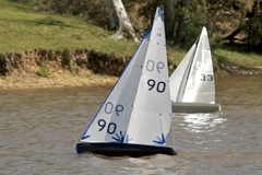 DSC04527 © Peter Taylor 2012