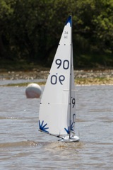 DSC04485 © Peter Taylor 2012