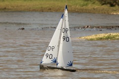DSC04261 © Peter Taylor 2012
