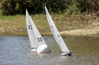 DSC04317 © Peter Taylor 2012