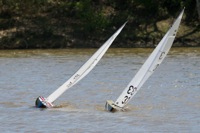 DSC04507 © Peter Taylor 2012