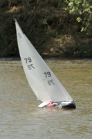 DSC04430 © Peter Taylor 2012