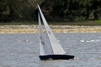 DSC04471 © Peter Taylor 2012