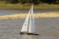 DSC04251 © Peter Taylor 2012
