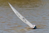 DSC04413 © Peter Taylor 2012