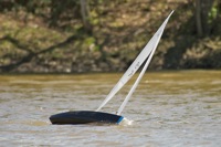 DSC04548 © Peter Taylor 2012