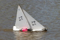 DSC04330 © Peter Taylor 2012