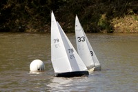 DSC04245 © Peter Taylor 2012