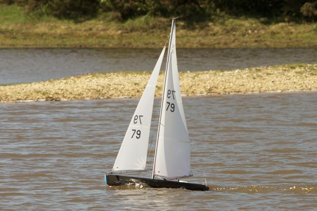 DSC04251 © Peter Taylor 2012