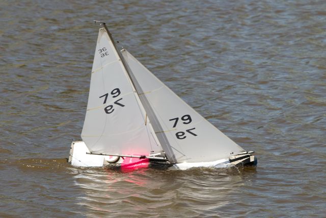 DSC04330 © Peter Taylor 2012
