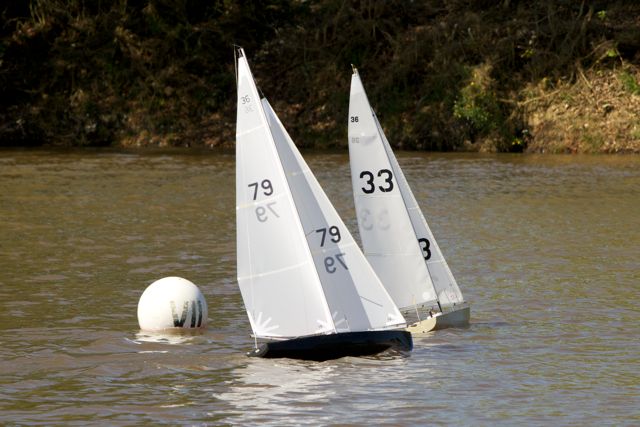 DSC04245 © Peter Taylor 2012