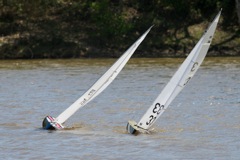 DSC04507 © Peter Taylor 2012