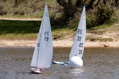 DSC04537 © Peter Taylor 2012