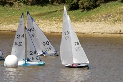 DSC04370 © Peter Taylor 2012