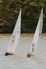 DSC04505 © Peter Taylor 2012