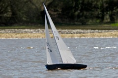 DSC04471 © Peter Taylor 2012