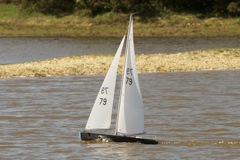 DSC04251 © Peter Taylor 2012