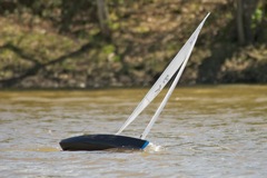 DSC04548 © Peter Taylor 2012