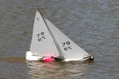 DSC04330 © Peter Taylor 2012