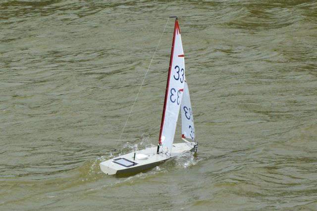 DSC09912 © Peter Taylor 2009
