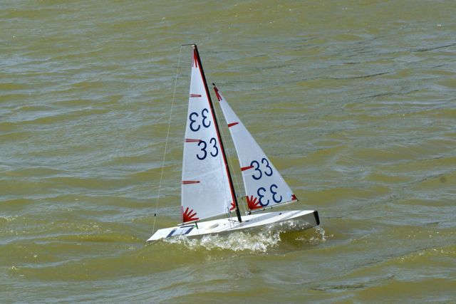 DSC09667 © Peter Taylor 2009