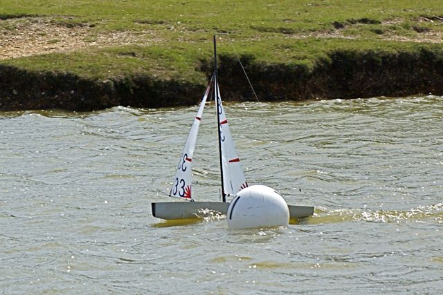 DSC09770 © Peter Taylor 2009