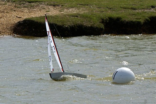 DSC09771 © Peter Taylor 2009
